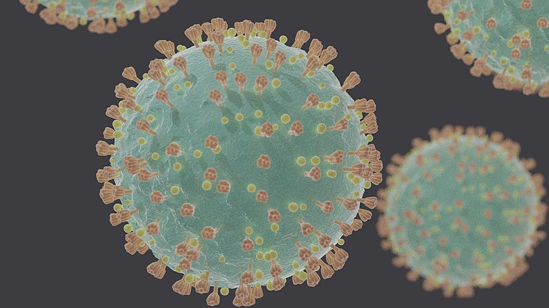 Coronavirus May Spread Via Talking, Breathing 1